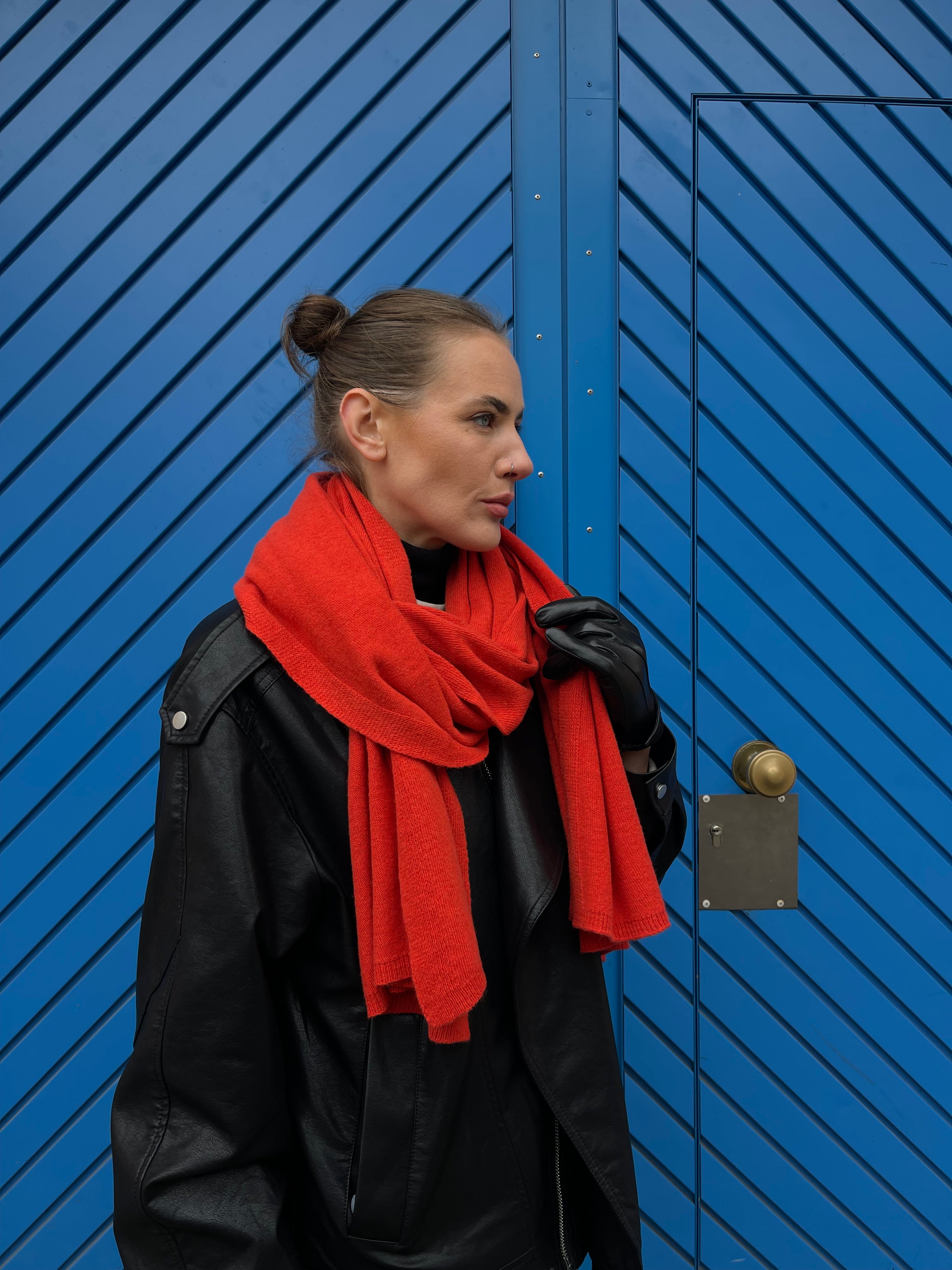 Vilnos ir kašmyro šalikas